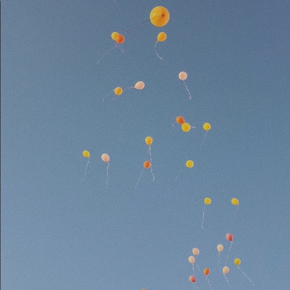 Meet your Posher, Isabel - Picture 1 of 1